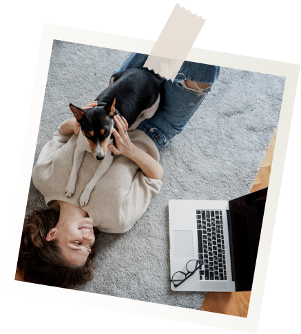 cours vidéo éducation canine